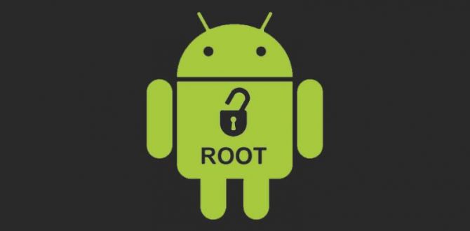 fare root android